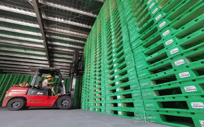 福建國(guó)林木材產(chǎn)業(yè)園